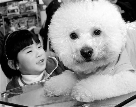 Pet fair targets big-time buyers