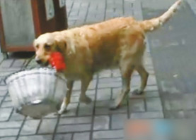 Davos Debate winners: We serve as keys