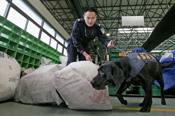 Plots elicit security explosion