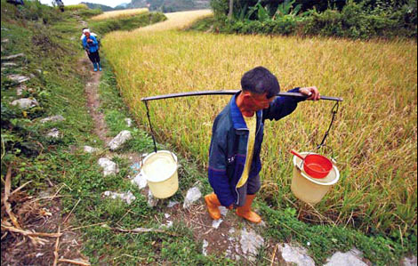 According to the anti-drought office in Guizhou province, 87 out of 88 regions have been affected by drought and 470 reservoirs have dried up. The flow in 349 rivers has been severely disrupted and more than 5.47 million people lack drinking water. A bitter harvest