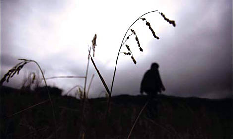 According to the anti-drought office in Guizhou province, 87 out of 88 regions have been affected by drought and 470 reservoirs have dried up. The flow in 349 rivers has been severely disrupted and more than 5.47 million people lack drinking water. A bitter harvest