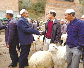China Daily reporting team returns with new appreciation of life in Dongxiang county of rural Gansu province. Dongxiang days