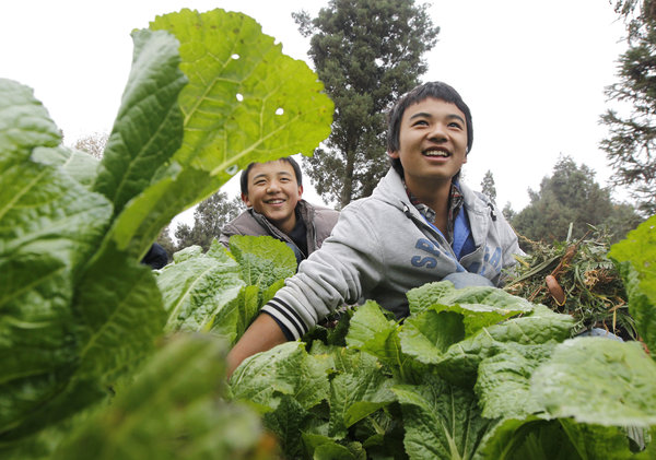 School turns wasteland into farm for students School turns wasteland into farm for students