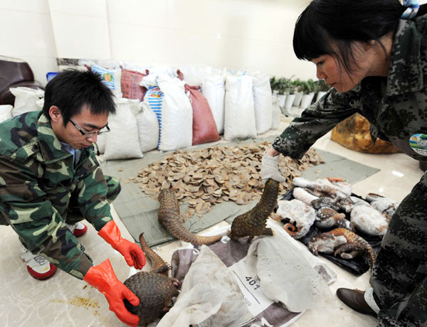 Enforcement officers on the front line of China's fight against wildlife smugglers will receive more funding and improved technology, as part of new measures to tackle the menace. Pledge to boost wildlife fight