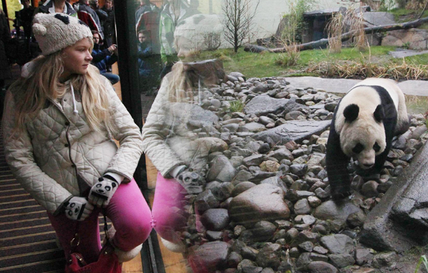 In a media row dubbed Pandagate by users of Twitter, the broadcaster has included Tian Tian (Sweetie), one of two pandas who arrived at a Scottish zoo earlier this month, as its female face for December in an online feature. Sweet! Panda is a woman of the year