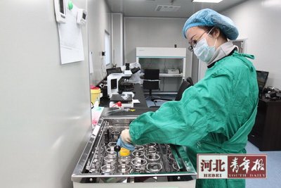 Sperm is tested at Hebei Human Sperm Bank. Tough standards at N China's sperm bank