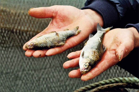 Pollution costing China dear: report