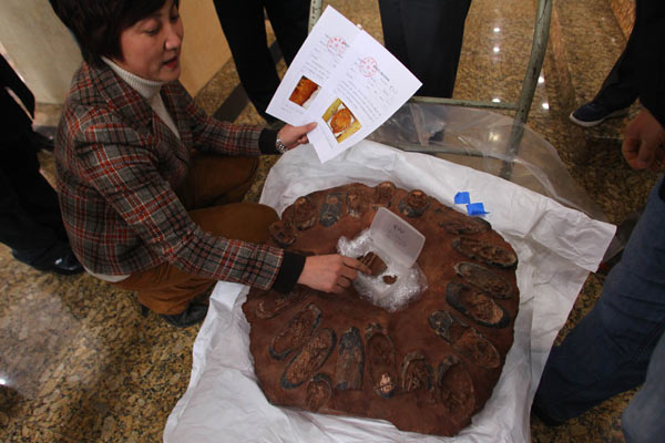 http://www.asianewsphoto.com/chn/(S(zadel055apkt1zmawow2fh45))/Web_CHN/View_GroupPhoto.aspx?SysId=474973 Dinosaur eggs reach Geological Museum