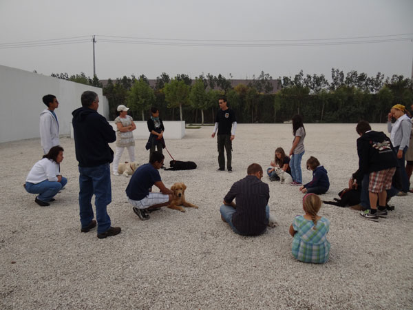 Dog whisperer seeks better pet relations