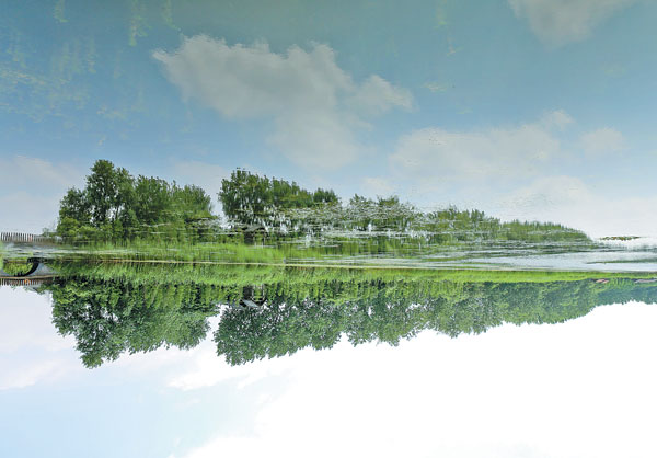 Qinhu Lake is part of China's second-largest wetland park. Every year the lake is the stage for a boat festival which starts on the second day of the Qingming Festival. Nan Ge / for China Daily Relief from the madding crowds