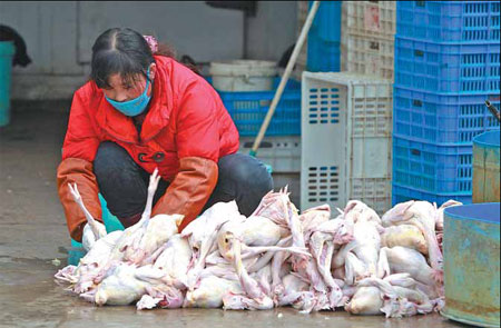 The trade in live poultry has been suspended in the cities of Shanghai, Nanjing and Hangzhou. You You / for China Daily Avian flu quiets song in bird market