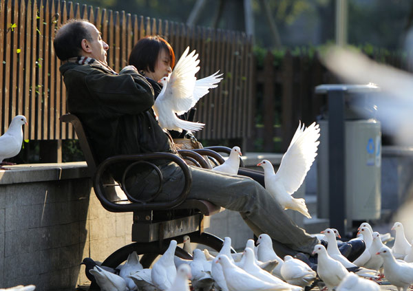 Pigeons at the People's Square in Shanghai. The wild pigeons have been caged and the local authorities have carried out cleaning and sterilization work. Gao Erqiang / China Daily Avian flu quiets song in bird market
