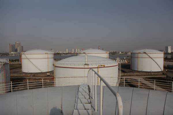 Shanghai gets public more involved in art