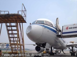 An Air China flight was forced to return to the airport after being hit by a flying bird, leaving a huge dent in the front of the plane on Tuesday morning. Plane hit by bird sparks emergency
