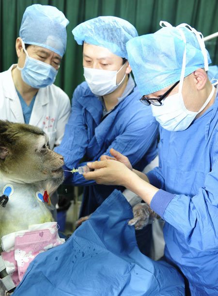 Xijing Hospital transplants pig's liver to monkey