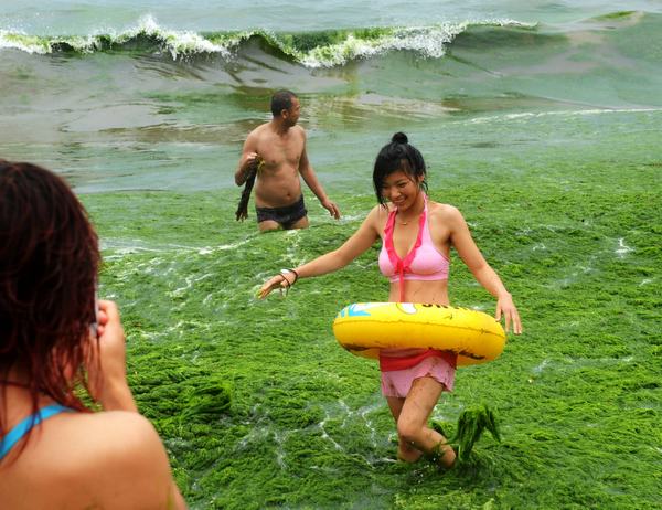 Tourists take photos last week in seawater covered in algae near a beach in Qingdao, Shandong province. The algae outbreak is now under control. Li Ziheng / Xinhua Qingdao's algae problem fades after intense cleanup
