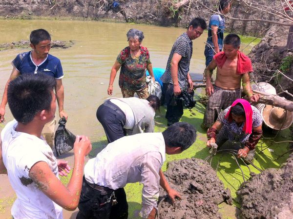 Villagers look for unearthed bronze coins in pool near a waste land at Lijiazhuang, in Jianhu county, Jiangsu province on Aug 4, 2013. Large amount of ancient coins were discovered during a 'dig grab' in the pool the previous day. Villagers make a splash for ancient coins