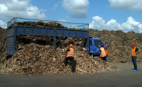 Men unload bark at the National Gongzhuling Bio Energy Co in Jilin, which has developed a biomass project. Solution to growth of new-energy firms blowing in the wind