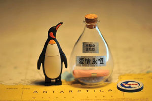 Bar adds variety to life on <EM>Xuelong</EM>