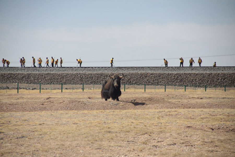 Life of highway maintenance workers on Qinghai-Tibet Plateau