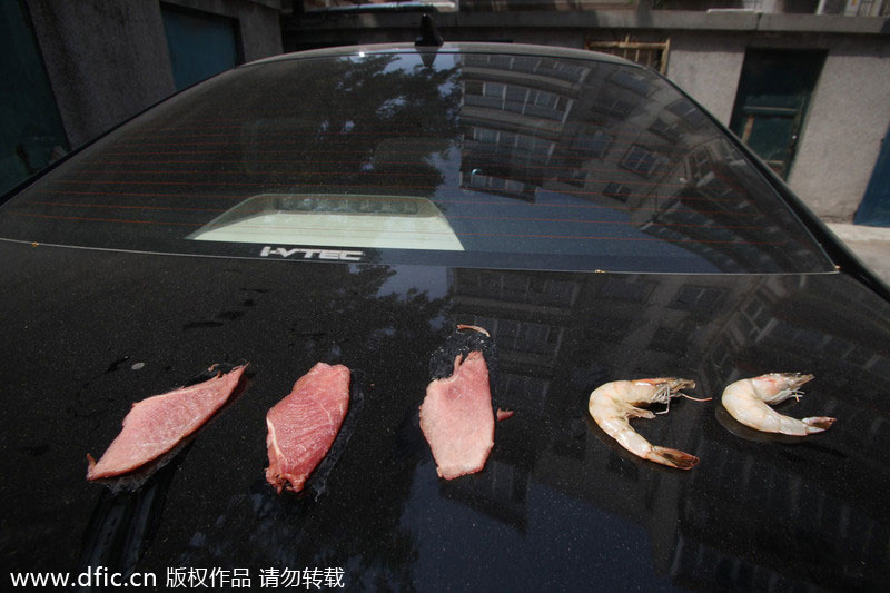 Sizzling heatwave 'cooks' East China