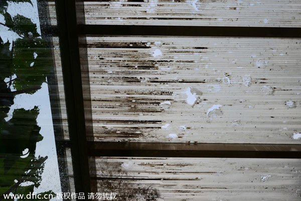 Hailstorm pounds suburban Beijing