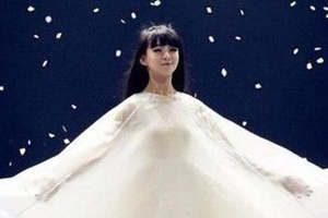 CCTV tapping US talent pool for 2015 Lunar New Year Gala