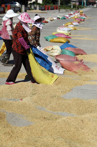 Productions resume in coastal provinces after dual typhoons