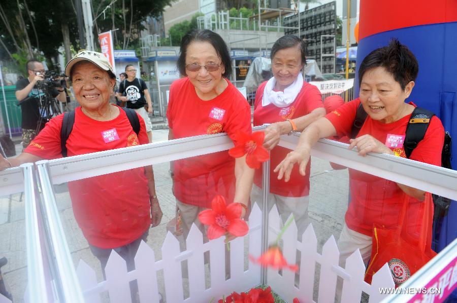Anti-Occupy Central rally in Hong Kong