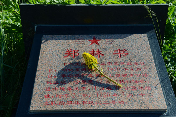 Watching over fallen comrades