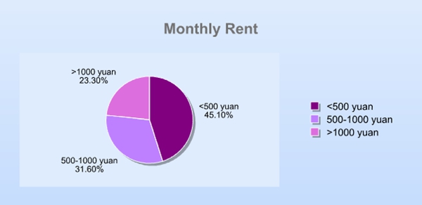 Focus on tough lives of young grassroot Chinese