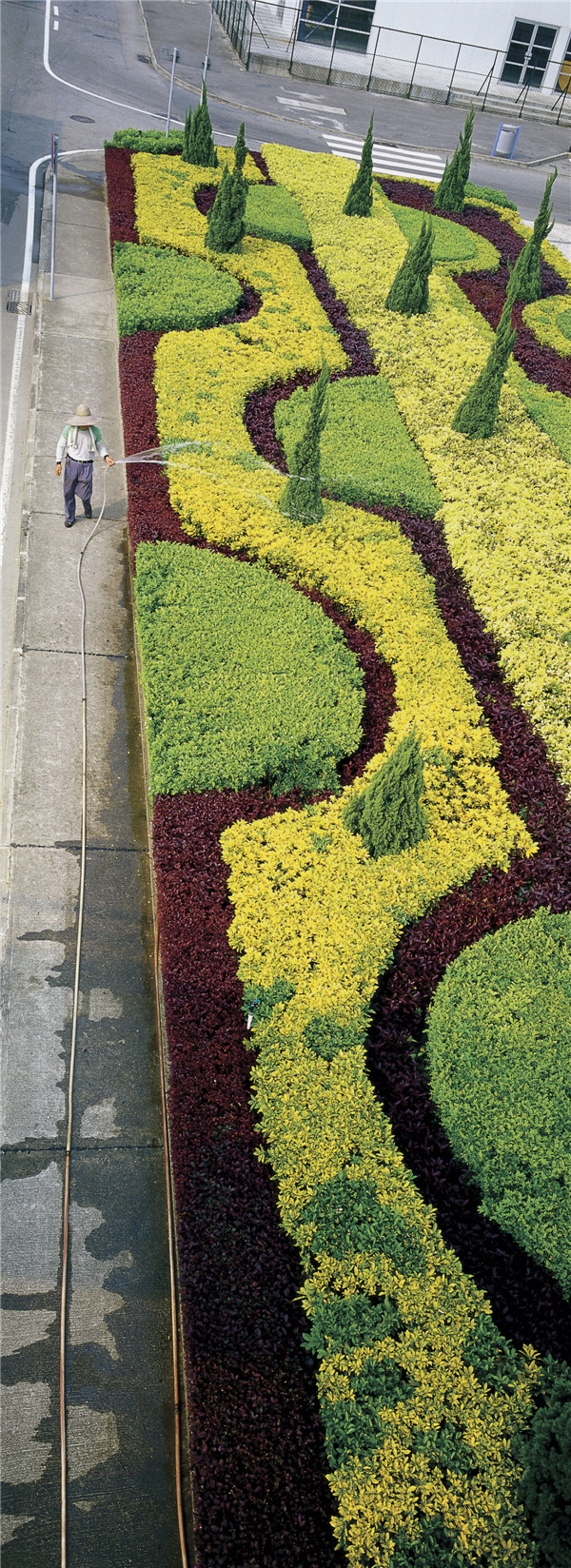 100 photographers' focus on Macao