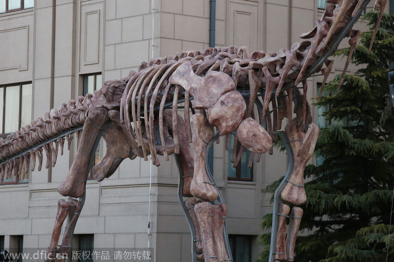 Giant dinosaur in town