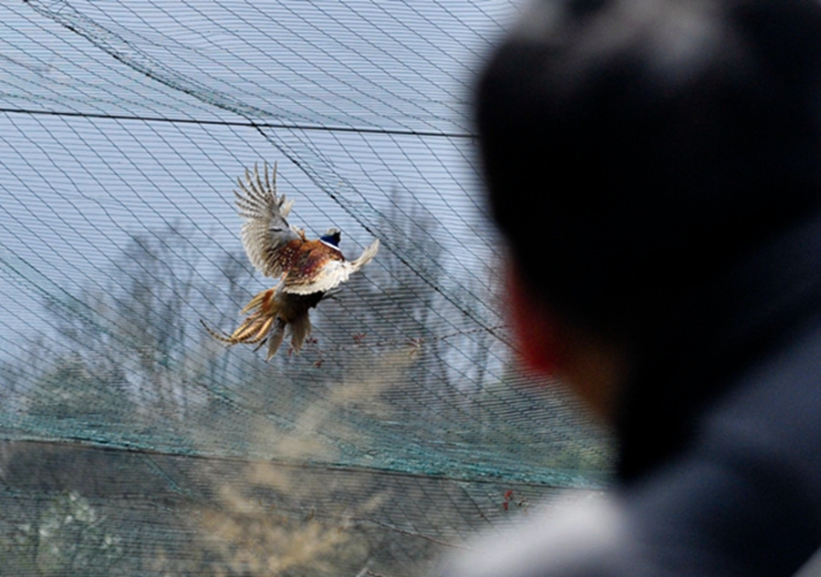 Hunting a fun sports in China