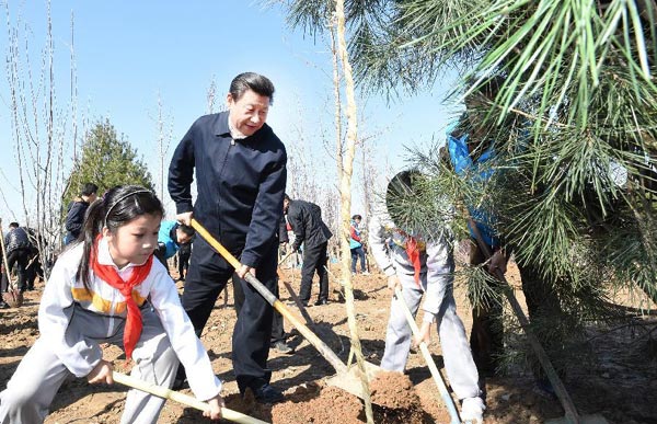 Xi plants roots of green awareness