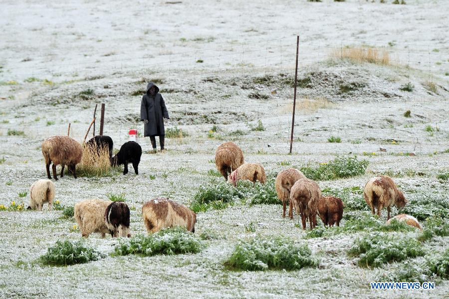 Snowfall hits Tianshan Mountain in Hami