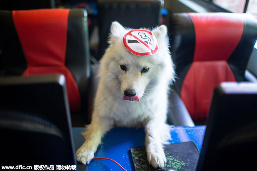 Ten photos you don't wanna miss - June 4