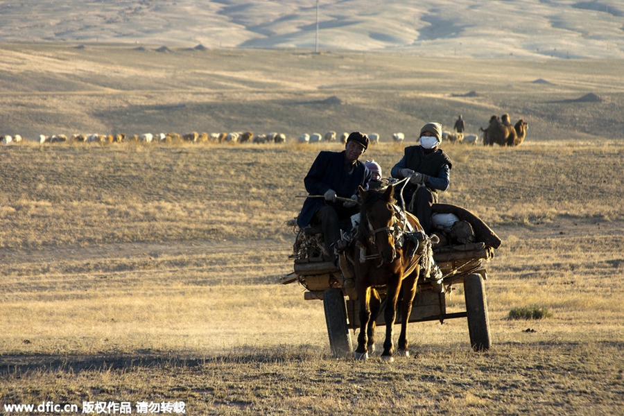 Kazak herdsmen migrate to winter pastures in Xinjiang