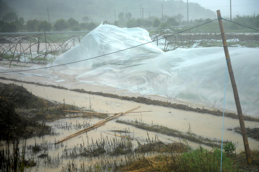 Typhoon Chan-Hom lands on E China, disrupts normal life