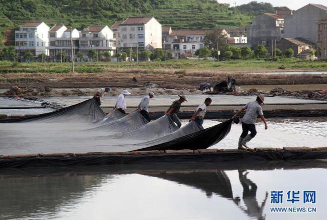 Alert remains for Typhoon Goni