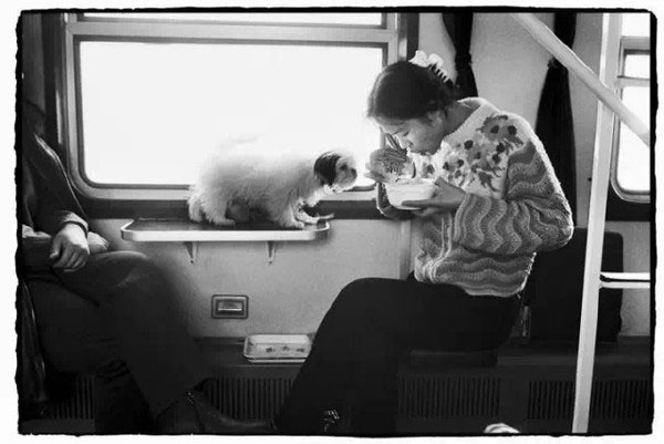 Speed of change: China through train journeys