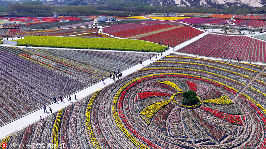 Discover beautiful China in spring blossom (V)