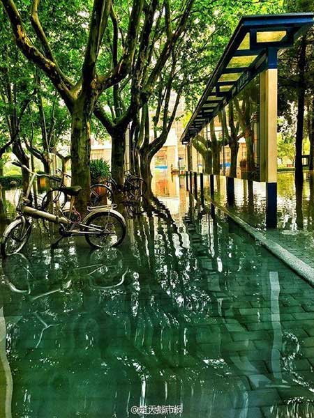 Wonderland appears in campus after rainstorm