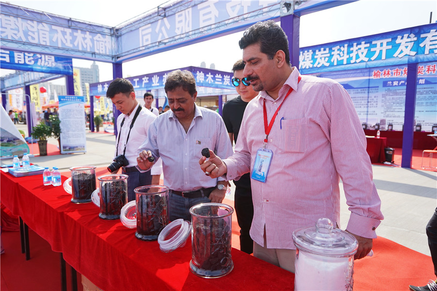 Asian journalists tour Yulin in Shaanxi