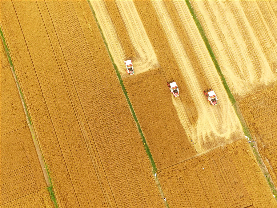 The year through a kaleidoscope