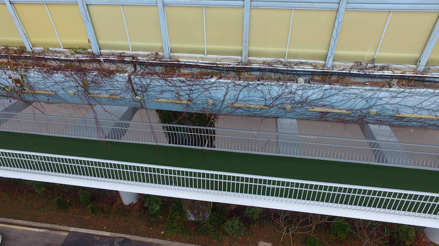 China's first elevated cycle track to open in Xiamen