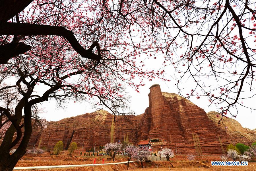 China shows of its beauty in spring