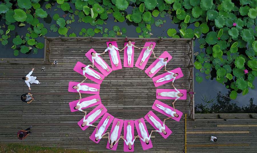 Lotus and the circle of life