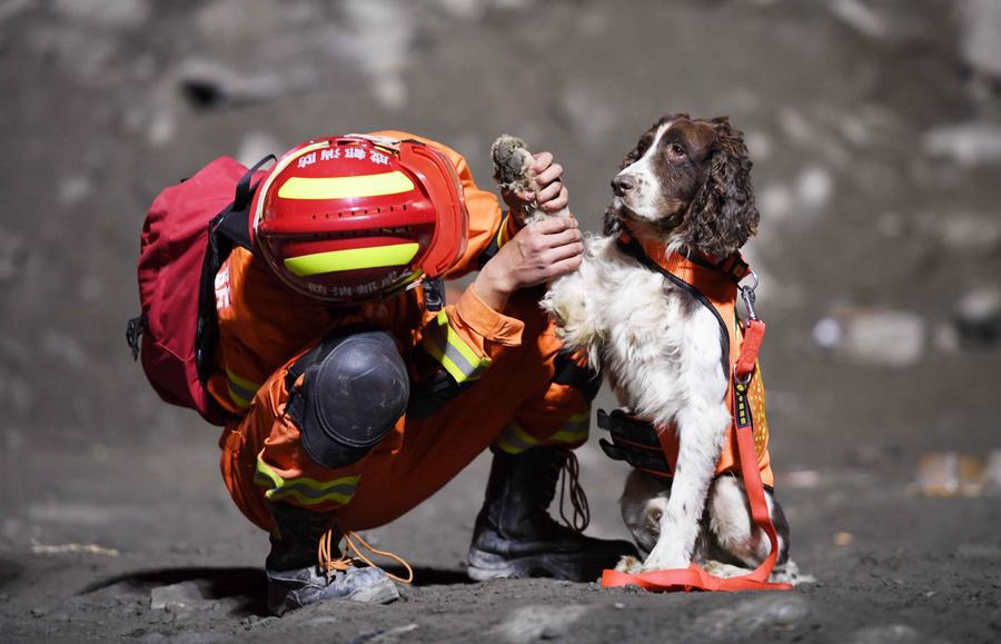 Massive rescue effort after SW China's devastating landslide