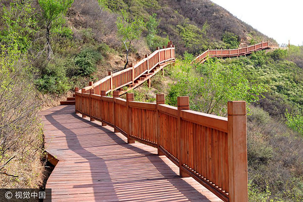 Healthy pastime plan afoot in Beijing